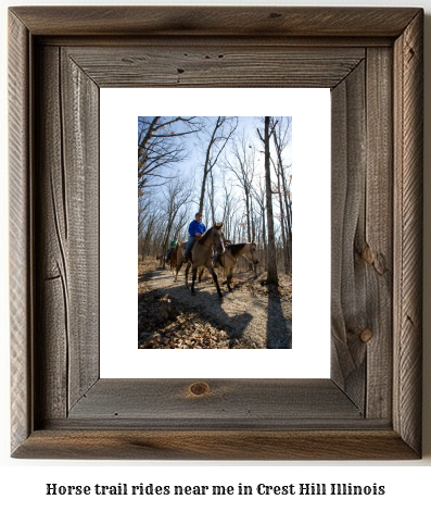 horse trail rides near me in Crest Hill, Illinois